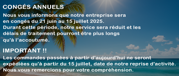 VACANCES DE NOEL
